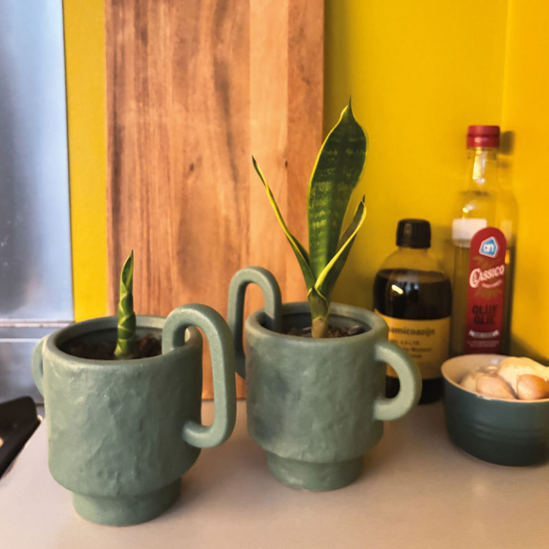 Groene Vaasjes Keuken Vierkant