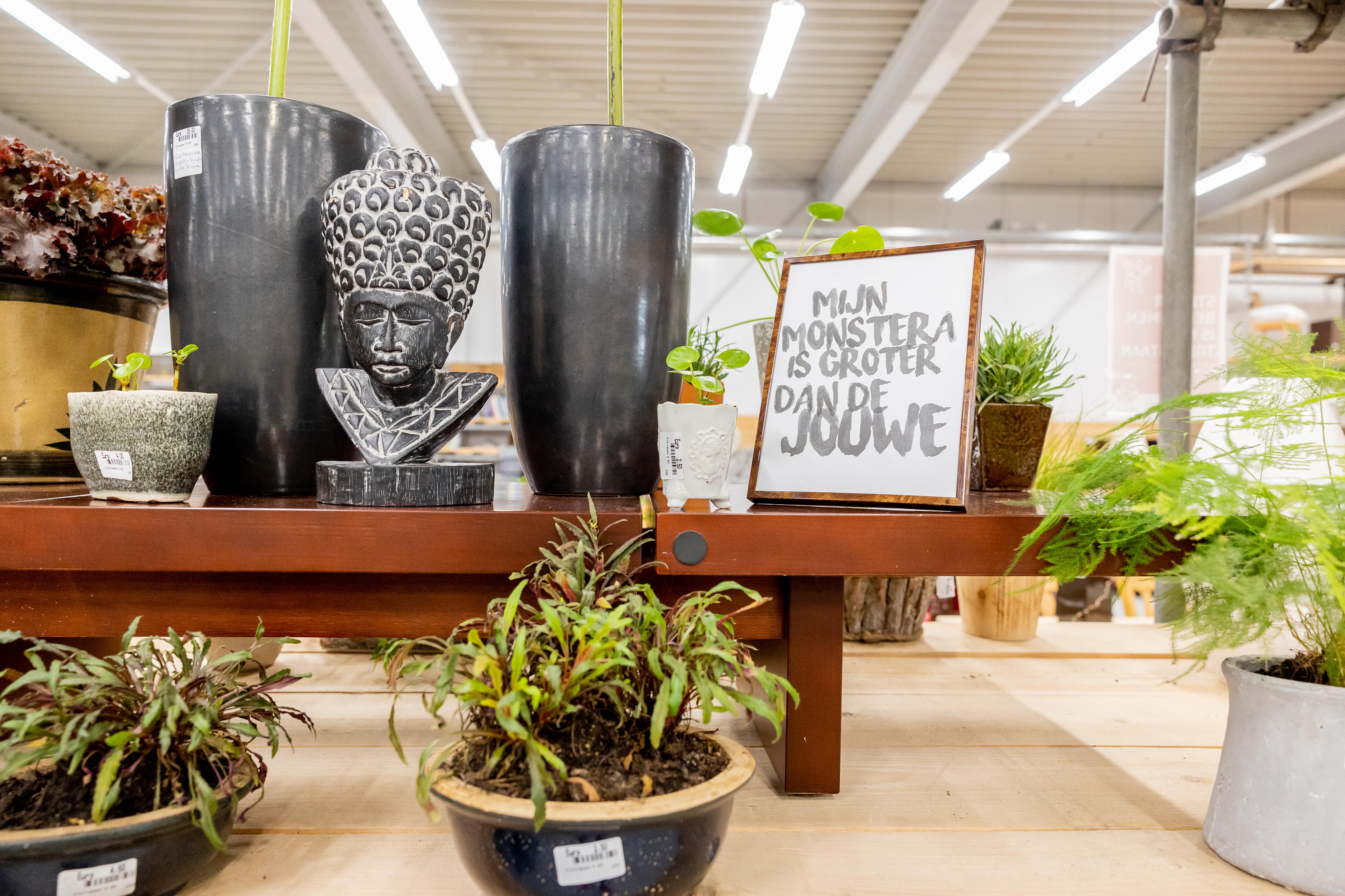 Estafette Franeker Plantenasiel