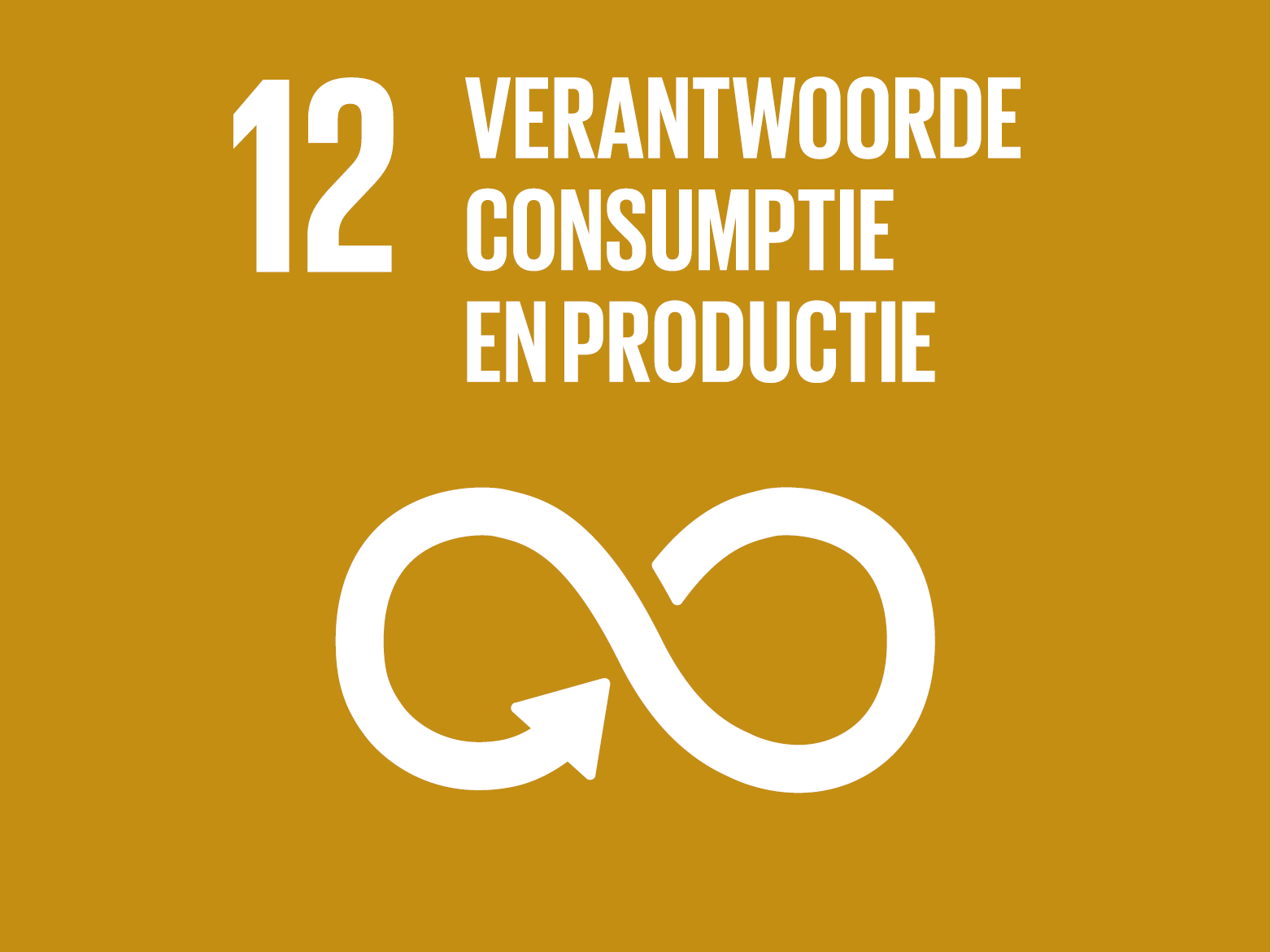 SDG 12 Card
